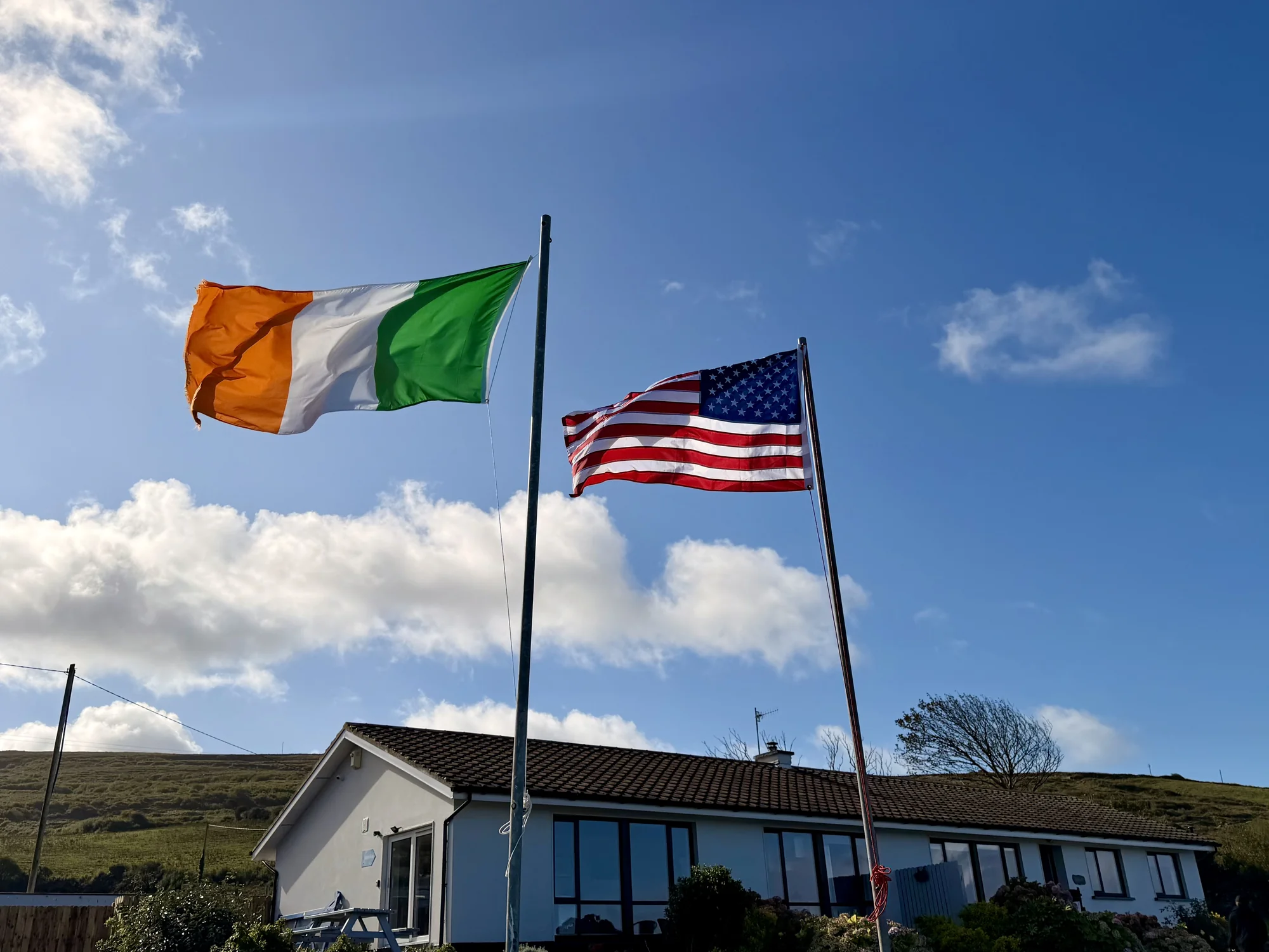 Irish and American flags outside Dolphin House